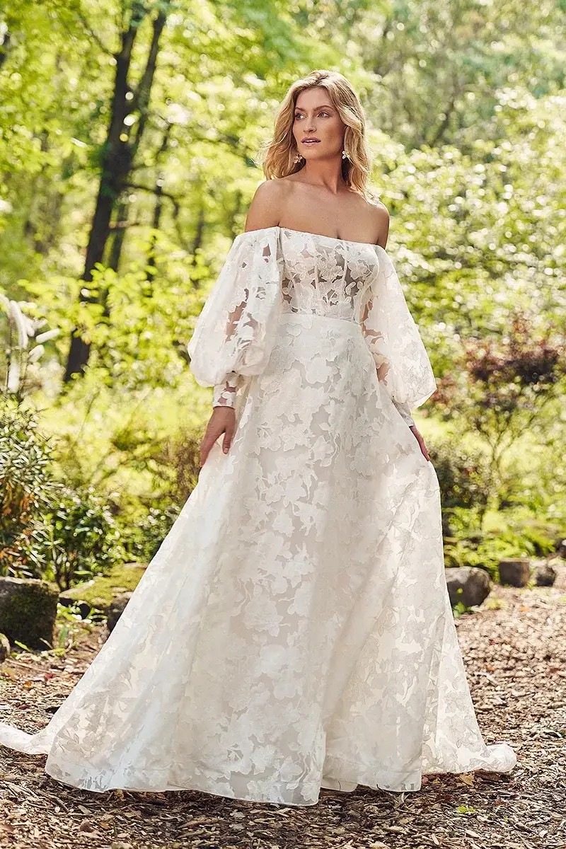 Romantic Details: Lace and Tulle in Fall 2024 Fairytale Wedding Dresses Image